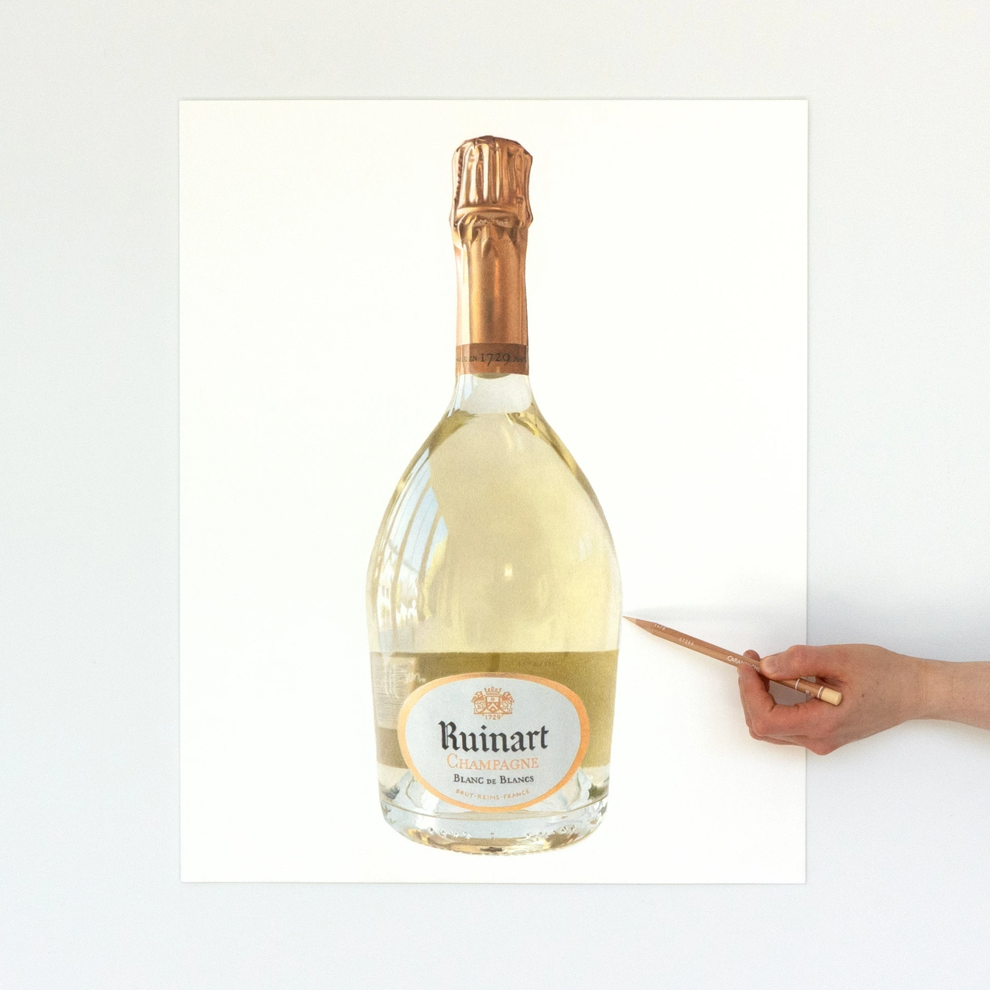 Colored pencil drawing