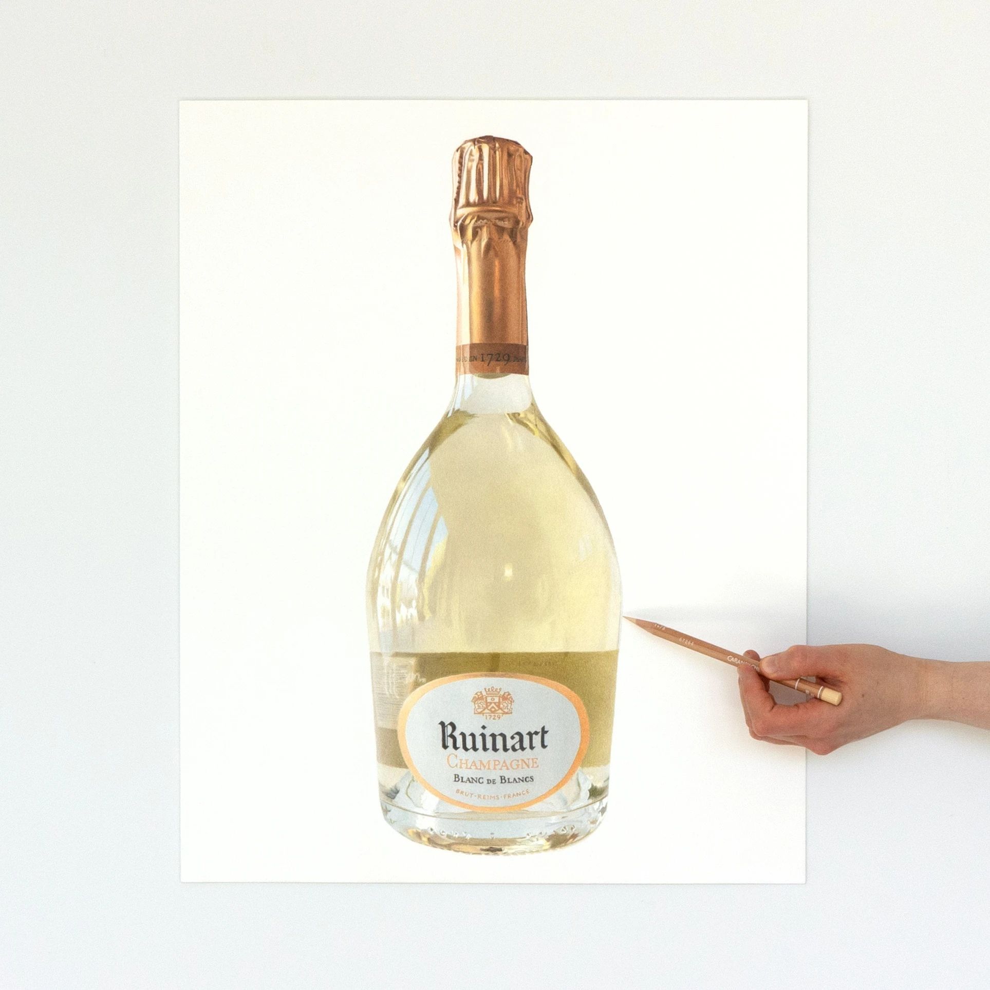 Colored pencil drawing