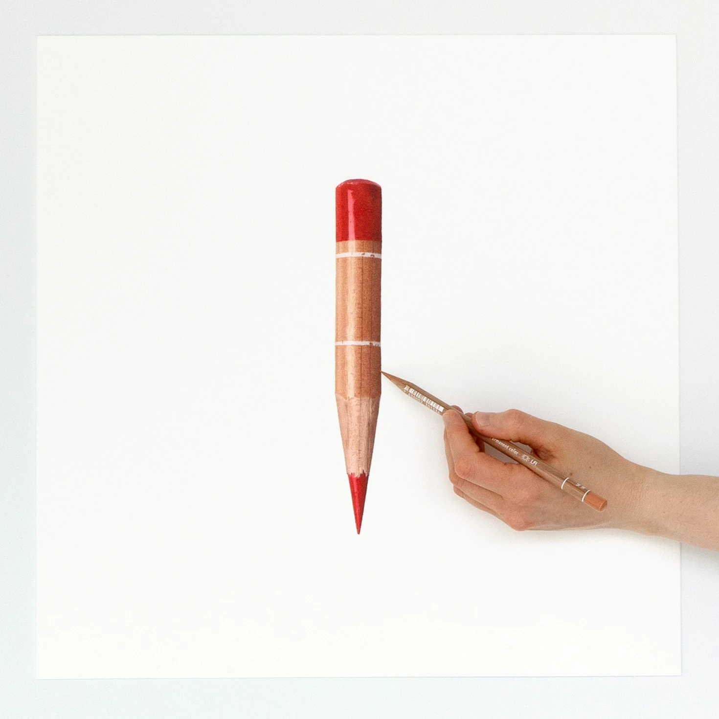 Scarlet Colored Pencil